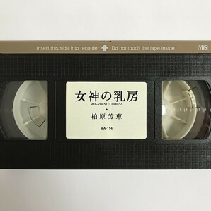 GB945 柏原芳恵 女神の乳房 明文社 【VHS ビデオ】 129の画像5