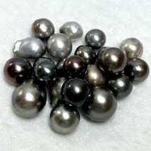 ［南洋黒蝶真珠22点おまとめ］A 重量約50.0g 約250ct 9.8-19.0mm珠 pearl パール ルース 裸石 宝石 ジュエリー jewelry DI0 ①S_画像3