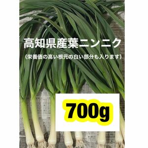 高知県産葉にんにく　葉ニンニク　野菜　産地直送700jagd