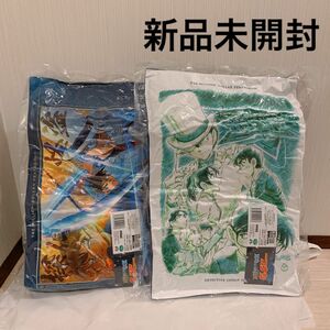 【新品未開封】名探偵コナン　100万ドルの五稜星（みちしるべ）　プレミアムアートクッション　2種セット　新作　プライズ