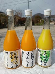 愛媛県産みかんジュース3種（みかん・はるみ・いよかん） 720ml 4本セット