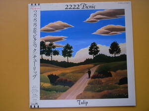 LPレコード（プロモ用サンプル盤）チューリップ/２２２２年ピクニック　2222Picnic