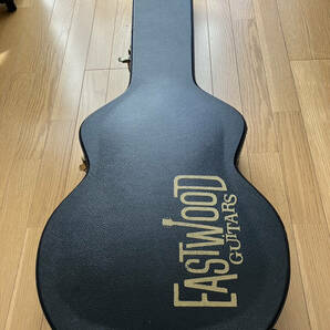 EastWood Guitars DELTA-6 イーストウッドギターズ デルタ−６の画像9
