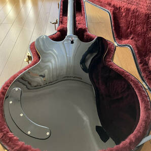 EastWood Guitars DELTA-6 イーストウッドギターズ デルタ−６の画像5