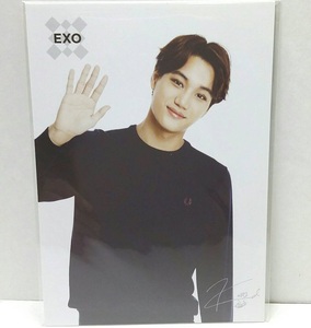 ＊即決【公式】EXO★カイ★ペペロ ポスカ 非売品★SM SUM　韓国　フォトカード　ポストカード