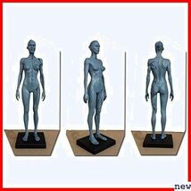 人体モデル 女 グレー スタンド付き 1:6 彫刻 ペインティング 人体筋肉 約30cm 11インチ 人体模型 169_画像3