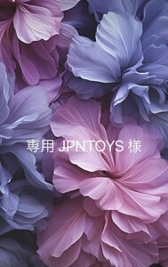 専用 JPNTOYS 様 ハンターハンター ナルト ペルソナ