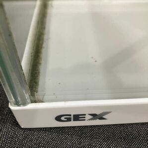 ②【水槽セット】 ジェックス クリアライト CL632 50HZ専用 GEX 約60㎝ 水槽 フレーム付 GEXジェックス  冷却ファンクーラー あの画像9