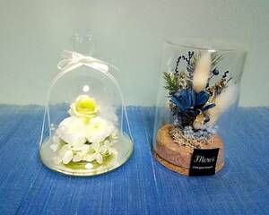 **[ preserved flower ]{ glass case entering arrangement 2 point } * unused * storage goods * **