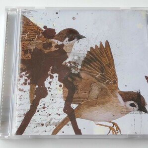 【BMTH/希少05年1stEP】Bring Me The Horizon/ This Is What The Edge Of Your Seat Was Made For CD EARACHE US mosh356 07年リイシュー盤の画像1