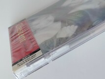 【未開封商品】Wink / Crescent クレセント CD PSCR1017 90年5th初回盤 鈴木早智子,相田翔子,夜にはぐれて,ニュー・ムーンに逢いましょう_画像4