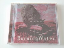 【美品/Michael Landau在籍】Burning Water / アバンドナート ABBANDONATO 日本盤CD PICP1103 96年3rd最終作名盤,Carlos Vega,BLUES ROCK_画像1