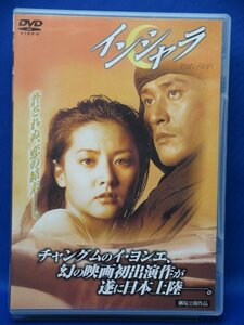 00384 インシャラ [DVD]