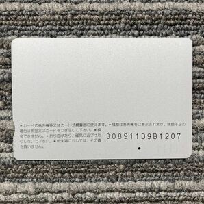 １穴・5300円券・JR北海道／特急おおぞら183系気動車図柄オレンジカードの画像2