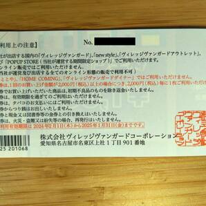 ★追跡送料込即決★ヴィレッジヴァンガード株主優待券36,000円分 2025年1月31日期限の画像4