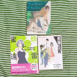 皇なつき先生 コミック3冊セット