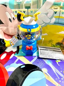 TDL★ディズニーランド☆ドナルドのクワッキーダックシティ　ディズニーパルパルーザ　スーベニアスナックケース★TDR