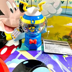 TDL★ディズニーランド☆ドナルドのクワッキーダックシティ　ディズニーパルパルーザ　スーベニアスナックケース★TDR