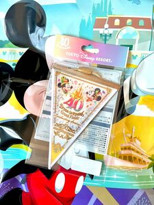 TDL★ディズニーランド40周年ドリームゴーラウンドグランドフィナーレ☆ドリームガーランド★TDR