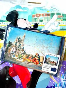 TDL★ディズニーランド40周年ドリームゴーラウンドグランドフィナーレ☆イマジニングザマジック　実写レジャーシート★TDR