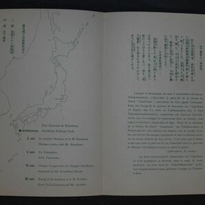 【公5】戦前霧島国立公園小型シート タトウ付き 未使用 NH 【型価6.5万】の画像10