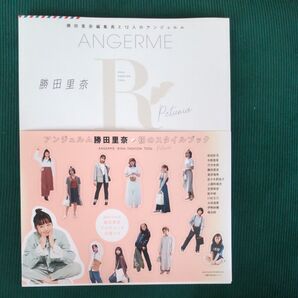 勝田里奈編集長と12人のアンジュルム RINA FASHION TOOL Petunia
