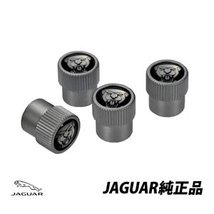 Jaguar Genuine エアBulbキャップ F-PACE E-PACE I-PACE F-TYPE XE XF XJ C2D54161