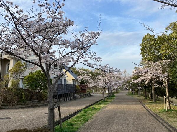 えれの様　専用