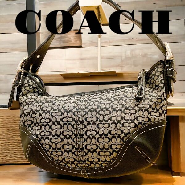 COACH コーチ ショルダーバッグ 肩かけ アクセサリーポーチ ワンショルダーバッグ　ハンドバッグ　シグネチャー　キャンバス