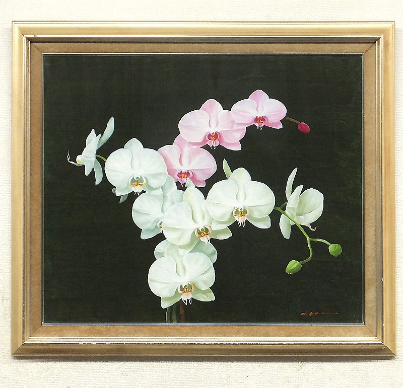 [GLC] Hideaki Yasuda Phalaenopsis Peinture à l'huile d'orchidée n° 20 Membre Obi Karen Réalisme ◆Grand bijou !, peinture, peinture à l'huile, peinture nature morte