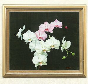 Art hand Auction [GLC] Hideaki Yasuda Phalaenopsis-Orchideen-Ölgemälde Nr. 20 Obi-Mitglied Karen Realismus ◆Großes Juwel!, Malerei, Ölgemälde, Stilllebenmalerei