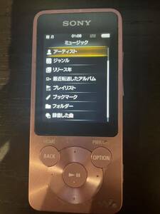 SONY WALKMAN NW-S784