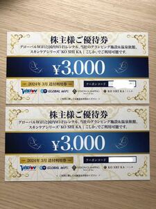 ビジョン 株主様ご優待券 6,000円分「3000円券×2枚 (使用期限2025/3/31まで )」 グローバルWiFi/グランピング&温泉 送料無料