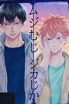 ハイキュー!!同人誌「ムジむじ ジカじか」〈影日〉_画像1