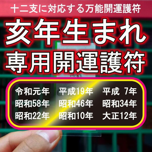 【亥(いのしし)年生まれ・専用開運霊符】 ★貴方を守る十二支の動物神!! ★大願成就 ☆金運 ☆浄化 ☆幸運の神様が宿る ☆招福