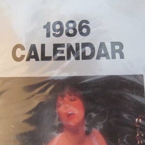 未使用 当時物 NISSAN DIESEL 日産ディーゼル UD ヌードカレンダー 1986の画像3