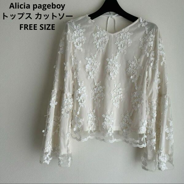 Alicia pageboy トップス カットソー FREE SIZE