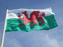 フラッグ　ウェールズ国旗　赤い竜　旗　プリンス・オブ・ウェールズ　Prince of Wales_画像3