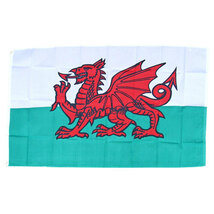 フラッグ　ウェールズ国旗　赤い竜　旗　プリンス・オブ・ウェールズ　Prince of Wales_画像4