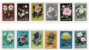 [ unused ]1961 flower series .. breast beautiful goods 