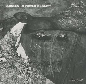 Angles-A Muted Reality;Martin Kuchen/Goran Kajfes/Magnus Broo/Mats Aleklint/Alexander Zethson/Johan Berthling/etc;Clean Feed