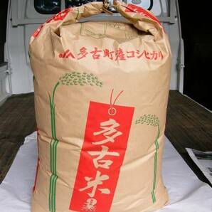 新米 令和5年産多古米コシヒカリ玄米３０ｋｇ （谷津田収穫分）  農家直売数量限定の画像2