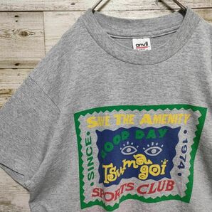 【617】90s USA製 anvil Vintage アンビル ヴィンテージ シングルステッチン Tシャツ 古着 SAVE THE AMENITY 