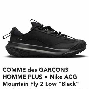 27cm COMME des GARONS HOMME PLUS × Nike ACG Mountain Fly 2 Low