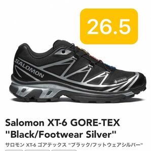 26.5cm Salomon XT-6 GORE-TEX Black/Footwear Silver サロモン ゴアテックス