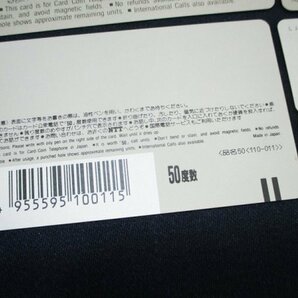 0129 【未使用】テレホンカード 50度数 21枚 額面10,500円分/ 信州 日光国立公園 富士山 函館 瀬戸大橋 NHK 横浜マリンタワー 観光地 他の画像9