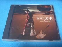 ★RICHIE KOTZEN★リッチー・コッツェン【哀 戦士 Z×R】国内盤 / 機動戦士ガンダム / Soldiers Of Sorrow / ビリーシーンThe Winery Dogs_画像1