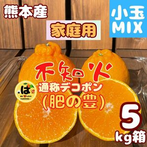 肥の豊 家庭用 小玉MIX5kg箱[デコポン 不知火]