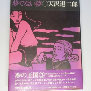 天沢退二郎/著・佐伯俊男/画：両者署名(サイン)●シリーズ 夢の王国3・夢でない夢●大和書房刊・1973年●初版・カバ・帯・ビニカバ付の画像2