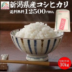 令和5年産 新潟県産 コシヒカリ 玄米30kg うまい米 米専門 みのりや ポイント消化 送料無料の画像1